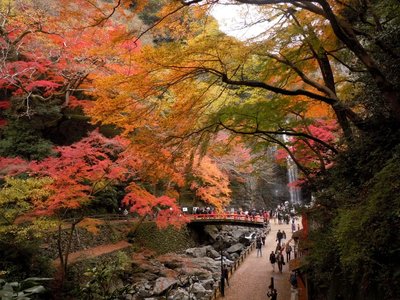🏞️ 미노 공원(미노오 코엔) 이미지 2